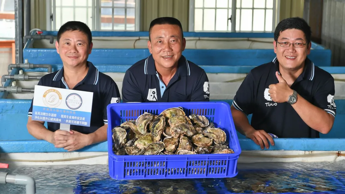 探索水產運用全台唯一深層海水馴化專利技術淨化過後的生蠔左起:執行長鍾政男、董事長蔡啟林、技術長黃秉益。(圖/探索水產提供)