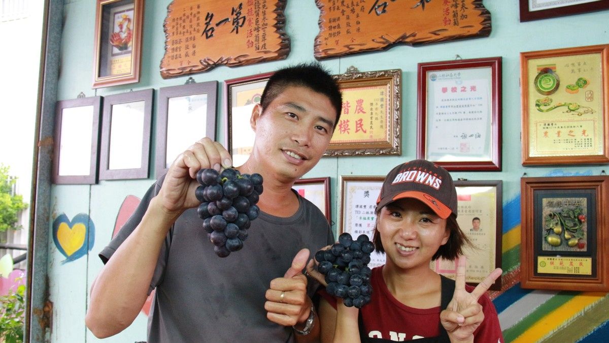 比賽遇梅雨強灌 葡農找8台抽水機救援仍奪第3名 比賽遇梅雨強灌 葡農找8台抽水機救援仍奪第3名
