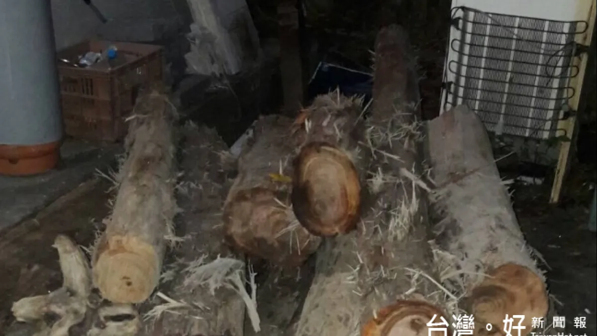 竊百萬漂流木伺機出售 警直搗民宅揪出山老鼠