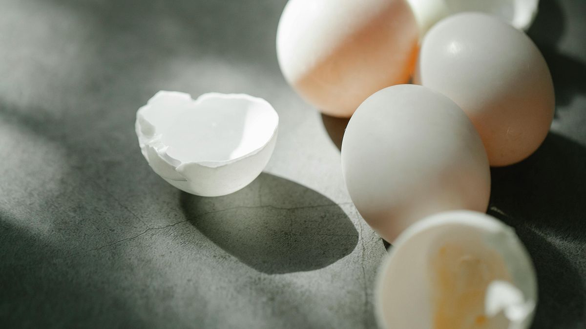 芬普尼雞蛋恐早被吃下肚!9大品牌共15萬顆怎麼退貨退費?消費者1證明千萬不能丟