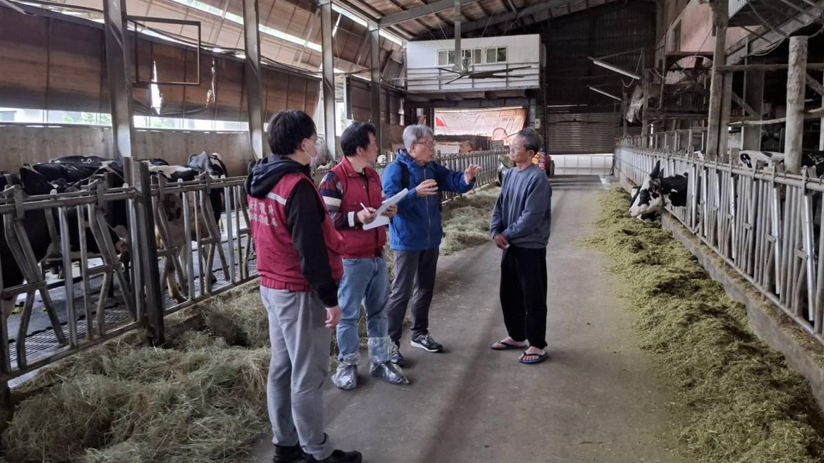 迎戰進口乳品,新北動保處「牛力護航計畫」為酪農注入強心針