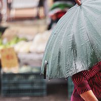 気象専門家の吳德榮氏は、30日まで各地で猛暑が続き、午後には大雷雨に注意するよう呼びかけている。(イメージ写真/柯承惠撮影) 気象専門家の吳德榮氏は、30日まで各地で猛暑が続き、午後には大雷雨に注意するよう呼びかけている。(イメージ写真/柯承惠撮影)