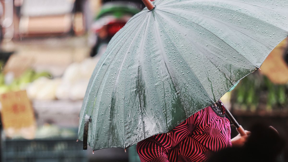 下雨、 雨具、 梅雨。(柯承惠攝) 下雨、 雨具、 梅雨。(柯承惠攝)