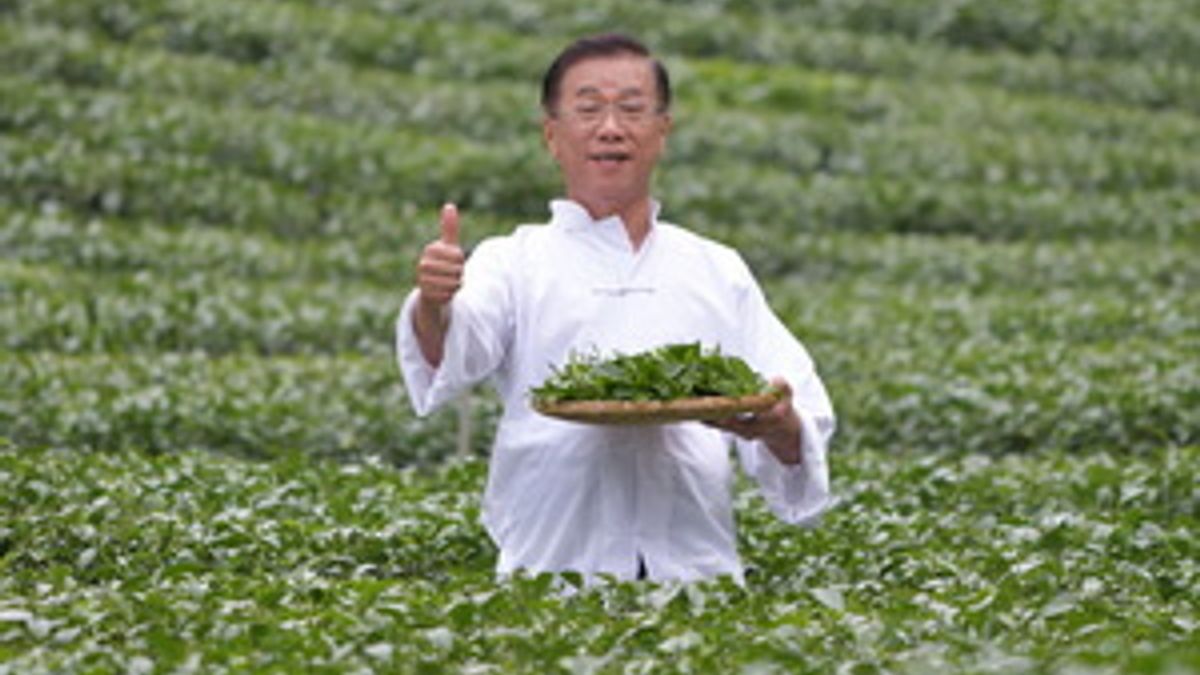 南投世界茶業博覽會宣傳廣告由南投縣長林明溱扮演「茶伯」帶領特務找好茶。(圖/南投縣政府提供) 南投世界茶業博覽會宣傳廣告由南投縣長林明溱扮演「茶伯」帶領特務找好茶。(圖/南投縣政府提供)