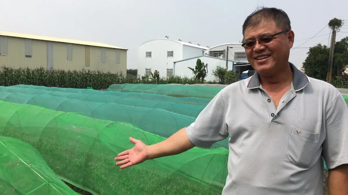 無毒蔬菜提供學童 讓母親的愛傳承下去