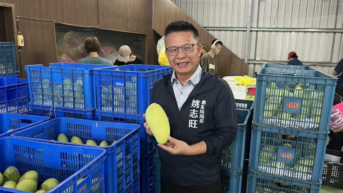 金煌芒果甜蜜登場! 六龜農會領航首櫃外銷新加坡 姚志旺:讓世界看見高雄農業的實力