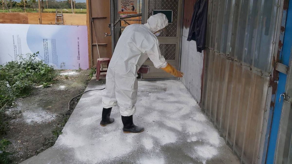 花蓮縣政府發送生石灰,協助禽產業防範禽流感。(圖/花蓮縣政府提供) 花蓮縣政府發送生石灰,協助禽產業防範禽流感。(圖/花蓮縣政府提供)