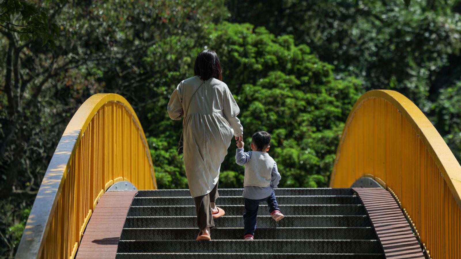 王順民觀點:生命不只是數據─如何接住一位傷痕累累的10歲女童
