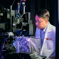 CityUHK neuroscientist crack code on brain multitasking, uncovering neural mechanisms behind cognitive bottlenecks CityUHK neuroscientist crack code on brain multitasking, uncovering neural mechanisms behind cognitive bottlenecks