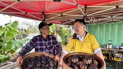桃園市副市長蘇俊賓向酸柑茶製作職人梁金義老師,學習酸柑茶製作傳統技藝。(圖/翻攝自蘇俊賓臉書)