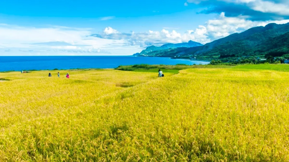 縱谷線、海岸線、近郊線18必遊花蓮景點大公開。(圖/欣傳媒提供)
