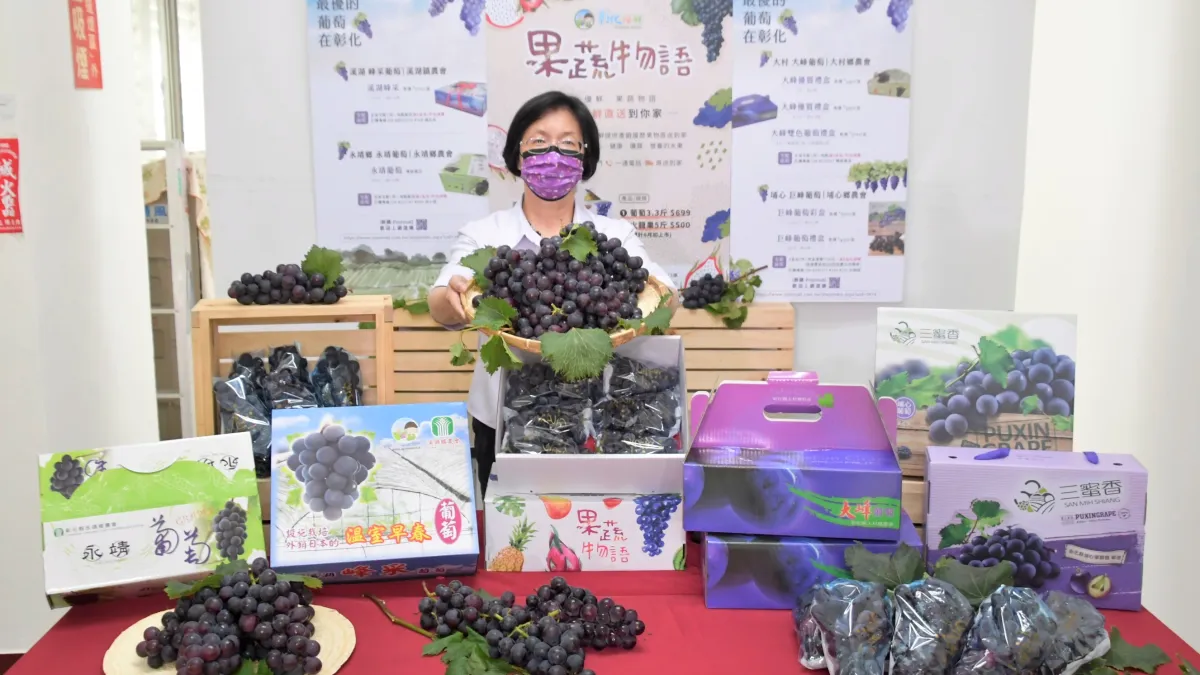 彰化縣產葡萄進入盛產期,彰化縣長王惠美協助農業作線上促銷。(圖/彰化縣政府提供)