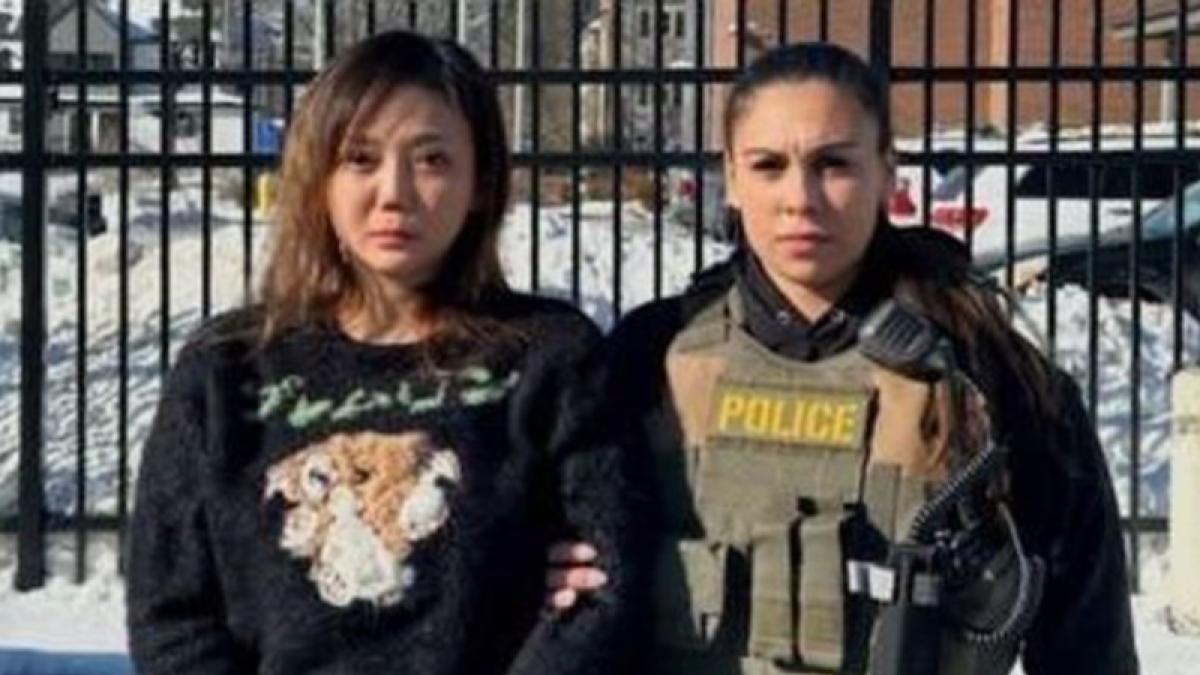 潛逃美國7年!「太陽花女王」劉喬安今押解返台 涉侵占等案被5地檢署通緝