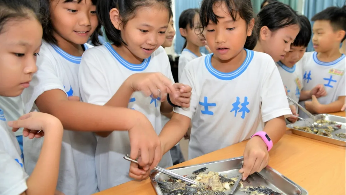 食魚文化校園講座即日開跑,希望能導引學童認識國產水產,教他們如何選魚挑魚,鼓勵更多家庭成員能食用當季當地漁產品。(圖/漁業署提供)