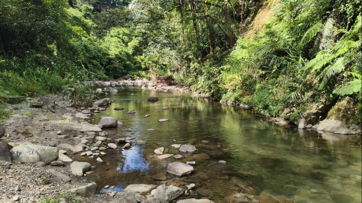 新北市首創封溪護魚指引 推動積極生態治理護溪流