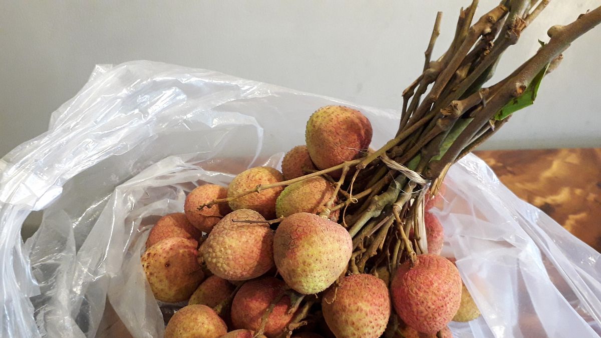 荔枝買回家該如何保存才不會黑?農糧署分享3招秘訣!(示意圖/取自photo-ac) 荔枝買回家該如何保存才不會黑?農糧署分享3招秘訣!(示意圖/取自photo-ac)