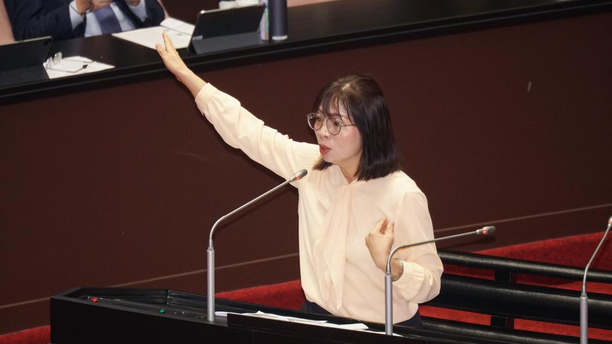 林淑芬罵白委「臭卒仔」 民眾黨反酸「暴力芬」:「緩刑可參選」修法就妳提的