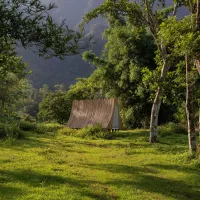 Fluid Dwelling by YuYu Art Studio uses bamboo strips, wind chimes, and animal forms to evoke the endless movement of mountains, rivers, and life. (Photo courtesy of the Soil and Water Conservation Bureau, Taitung and Hualien branches) Fluid Dwelling by YuYu Art Studio uses bamboo strips, wind chimes, and animal forms to evoke the endless movement of mountains, rivers, and life. (Photo courtesy of the Soil and Water Conservation Bureau, Taitung and Hualien branches)
