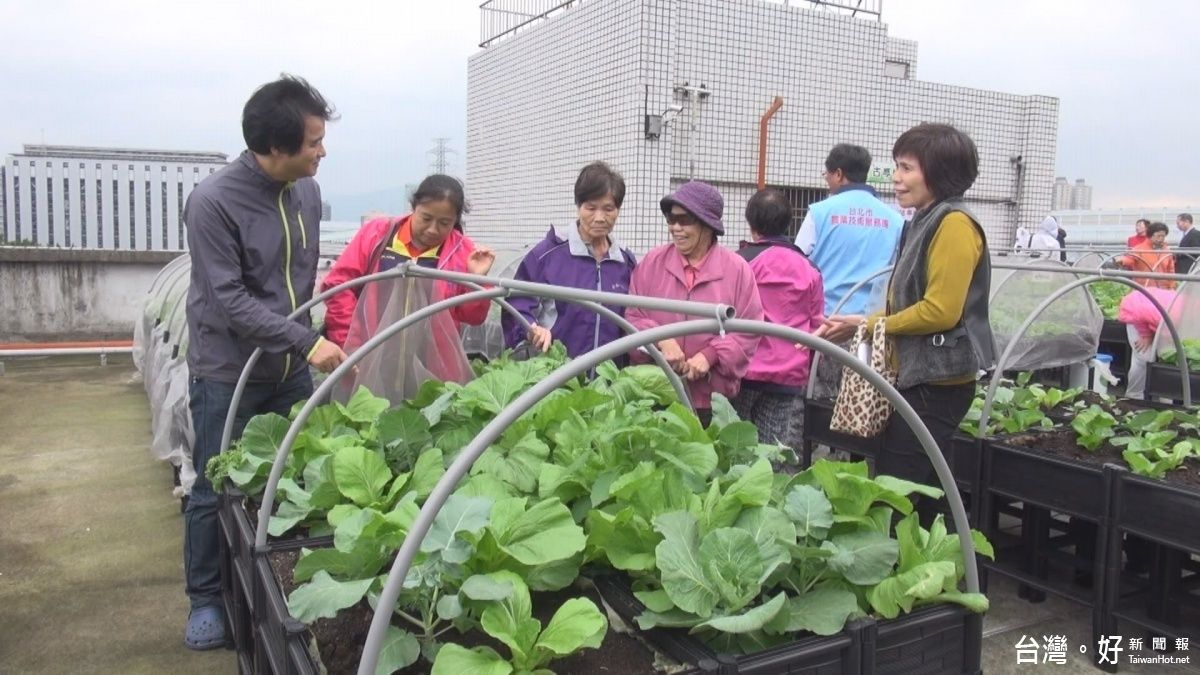 北市田園城市政策奏效 里民樂當城市農夫 北市田園城市政策奏效 里民樂當城市農夫