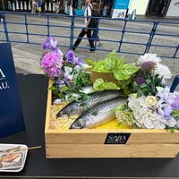 東京ソラマチで開催中の「ノルウェーシーフードフェス2025」は、サーモン寿司誕生40周年とサバヌーヴォー5周年を記念し、11店舗が集結。合計5,000食を無料配布する特別イベントとなっている。(写真/黃信維撮影) 東京ソラマチで開催中の「ノルウェーシーフードフェス2025」は、サーモン寿司誕生40周年とサバヌーヴォー5周年を記念し、11店舗が集結。合計5,000食を無料配布する特別イベントとなっている。(写真/黃信維撮影)