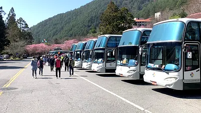 台中市府交通局與客運業者合作,透過「TBS台北轉運站」APP可預約賞櫻專車,民眾可多加利用大眾運輸前往賞花。(圖/台中市政府)