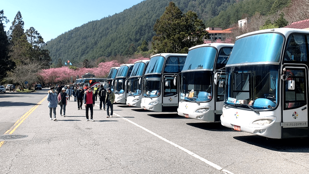 台中市府交通局與客運業者合作,透過「TBS台北轉運站」APP可預約賞櫻專車,民眾可多加利用大眾運輸前往賞花。(圖/台中市政府) 台中市府交通局與客運業者合作,透過「TBS台北轉運站」APP可預約賞櫻專車,民眾可多加利用大眾運輸前往賞花。(圖/台中市政府)