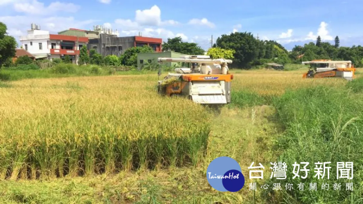 針對滲眉埤高風險農地 桃市展開預防性剷除銷燬