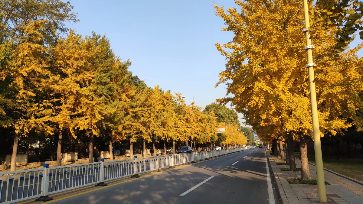 北戴河早成為中共老幹部的暑休之地,沒想到成了民進黨打選戰的子彈。圖為北戴河附近道路。(資料照,田暢攝)