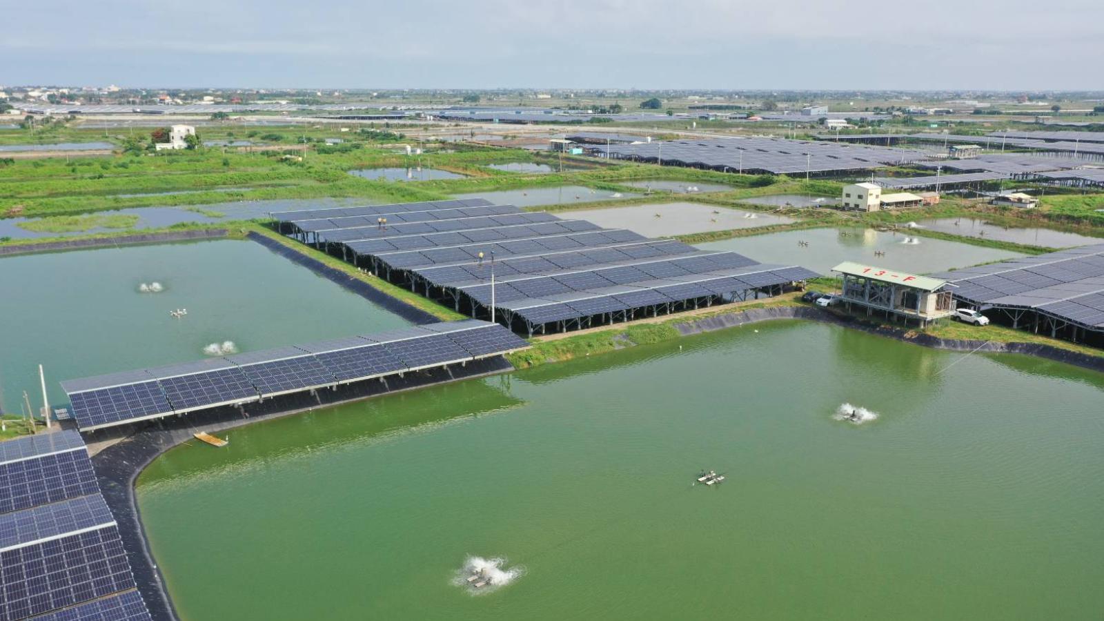 台泥綠能前員工涉背信!公司求償逾7200萬元,強化採購招標內控機制