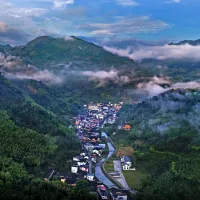 Xinhua Silk Road: Fu'an tea industry in SE China's Fujian generates 13.8 bln yuan in output value Xinhua Silk Road: Fu'an tea industry in SE China's Fujian generates 13.8 bln yuan in output value