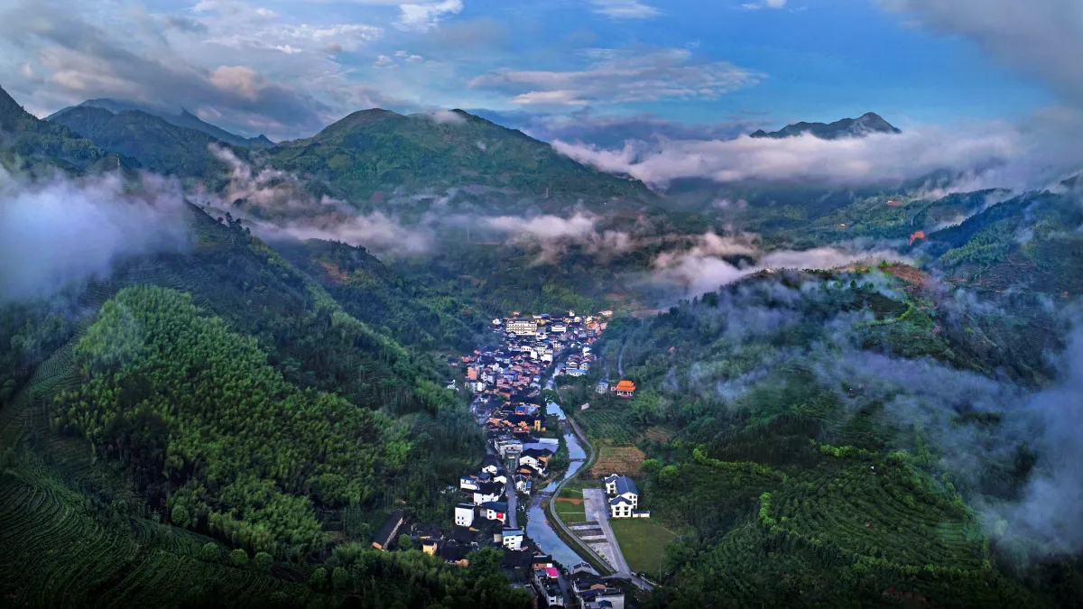 Xinhua Silk Road: Fu'an tea industry in SE China's Fujian generates 13.8 bln yuan in output value