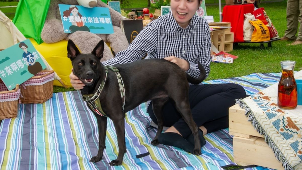 宜蘭青年品牌和縣長林姿妙分享各自的創業故事。(圖/宜蘭縣政府勞工處提供) 宜蘭青年品牌和縣長林姿妙分享各自的創業故事。(圖/宜蘭縣政府勞工處提供)