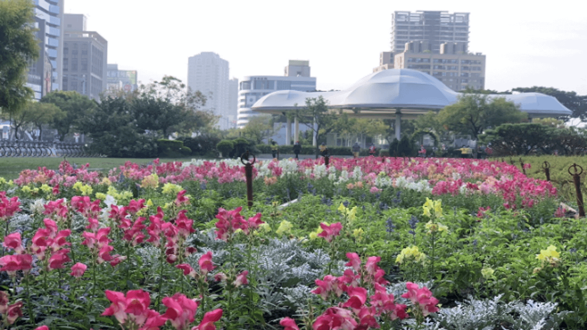 凹子底捷運站種植華麗繽紛的冬季花卉,並以多品系的聖誕紅為展現主角。(圖/高市工務局提供) 凹子底捷運站種植華麗繽紛的冬季花卉,並以多品系的聖誕紅為展現主角。(圖/高市工務局提供)