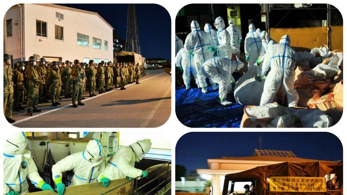 自衛隊25日出動協助撲殺染病豬隻。(翻攝日本政府官網) 自衛隊25日出動協助撲殺染病豬隻。(翻攝日本政府官網)