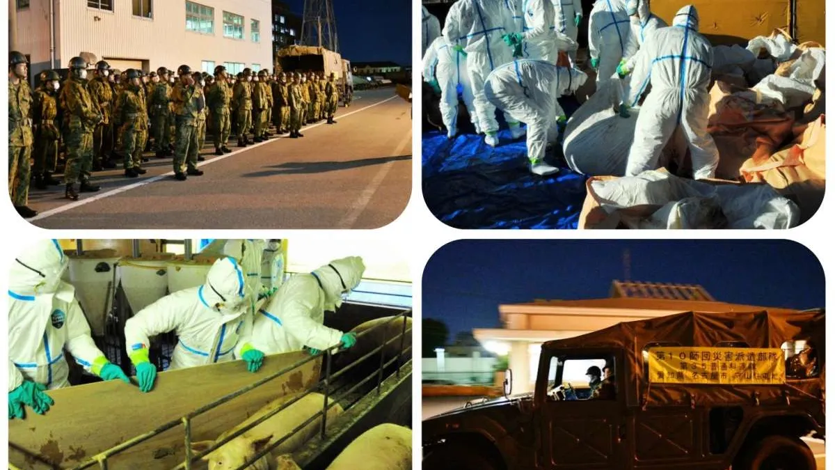 自衛隊25日出動協助撲殺染病豬隻。(翻攝日本政府官網)