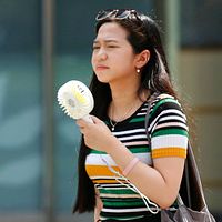 兵庫県丹波市で41.2℃を観測し、国内史上最高気温を更新。京都府福知山市でも40.6℃を記録し、府内で初の40℃超となった。近畿地方での40℃台は31年ぶりで、各地で熱中症リスクが極めて高まっている。(AP通信) 兵庫県丹波市で41.2℃を観測し、国内史上最高気温を更新。京都府福知山市でも40.6℃を記録し、府内で初の40℃超となった。近畿地方での40℃台は31年ぶりで、各地で熱中症リスクが極めて高まっている。(AP通信)