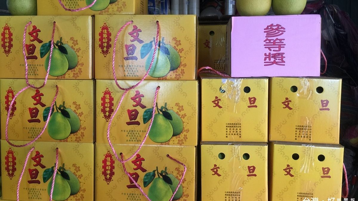 參加新北文旦柚評鑑 新店柚農張榮齊獲3等獎佳績 參加新北文旦柚評鑑 新店柚農張榮齊獲3等獎佳績