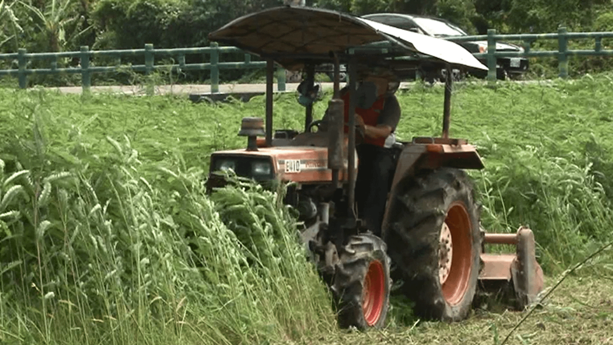 立春時分難得清閒 新豐舉辦農民節慶祝大會 立春時分難得清閒 新豐舉辦農民節慶祝大會