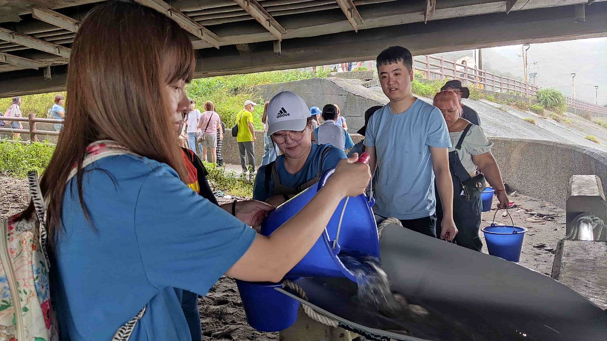 南山人壽守護海洋行動邁入第13年,今年首度增加魚苗放流,10月5日共放流6.8萬尾布氏鯧鰺魚苗。(圖片提供:南山人壽) 南山人壽守護海洋行動邁入第13年,今年首度增加魚苗放流,10月5日共放流6.8萬尾布氏鯧鰺魚苗。(圖片提供:南山人壽)