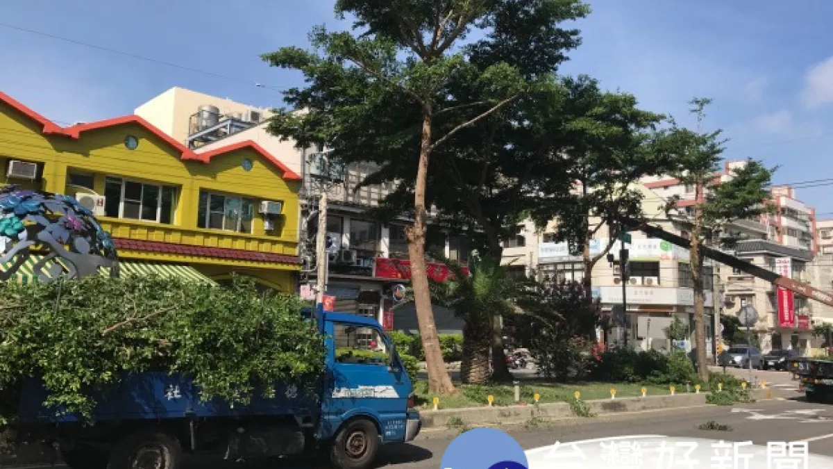防颱工作重於搶修 大甲公所修樹勘排水系統