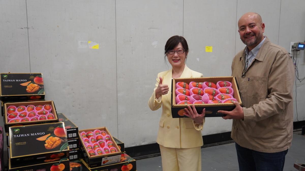 台灣芒果成功打進法國市場!媒體人反嗆大外宣:僅佔整體外銷份額0.1%