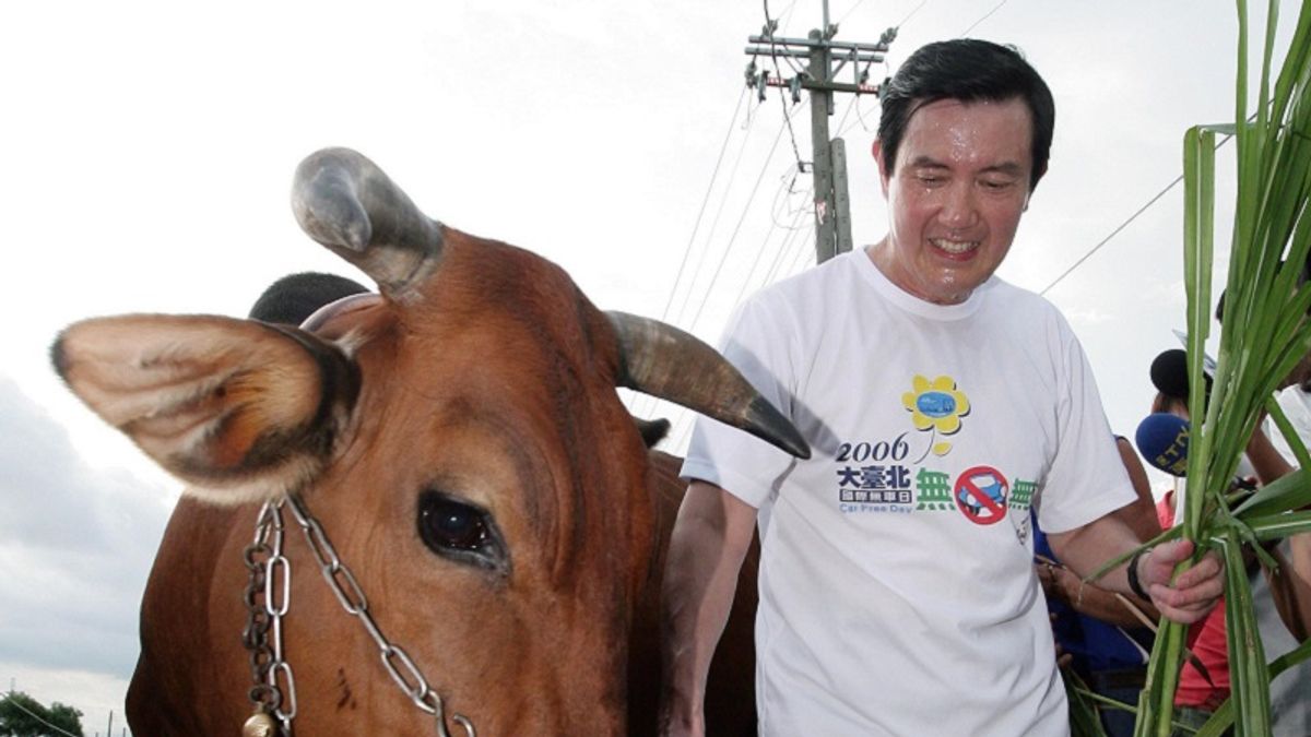 馬英九總統八年,做到流汗卻也被嫌到流涎。(2008年/總統府網站) 馬英九總統八年,做到流汗卻也被嫌到流涎。(2008年/總統府網站)