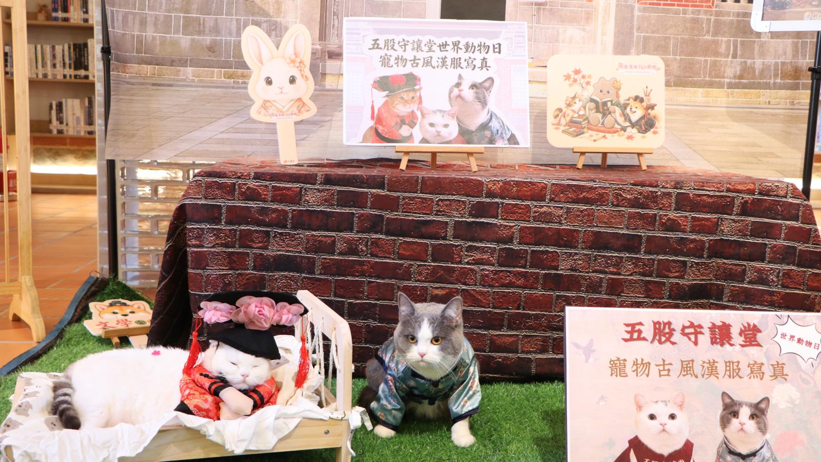 貓咪變格格、狗狗穿唐裝! 毛孩穿越百年古厝 五股守讓堂世界動物日萌寵寫真登場