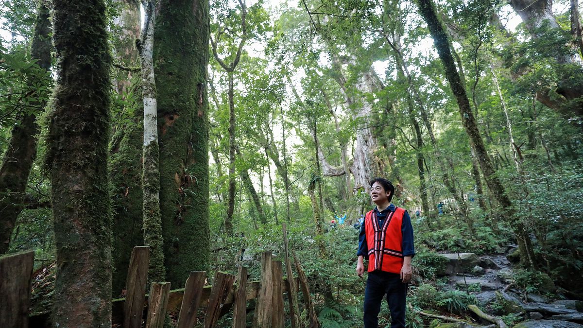 副總統賴清德昨(11)日上午前往新竹縣尖石鄉,進行2天1夜的司馬庫斯訪視行程。(取自賴清德臉書) 副總統賴清德昨(11)日上午前往新竹縣尖石鄉,進行2天1夜的司馬庫斯訪視行程。(取自賴清德臉書)