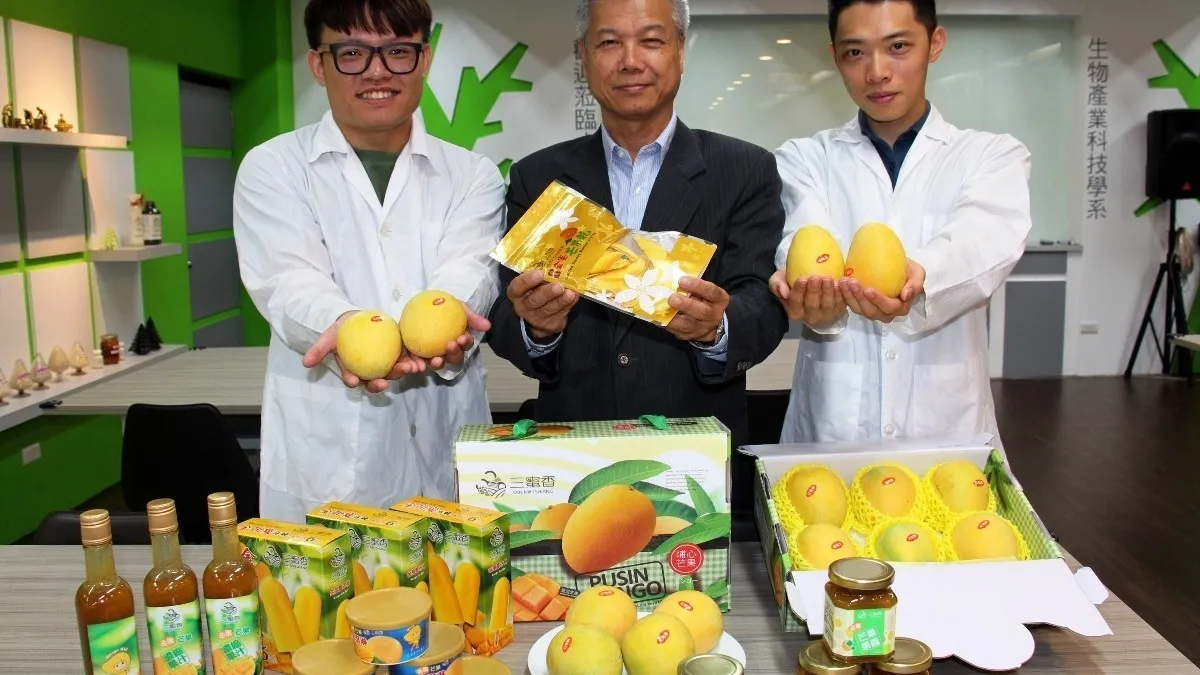 讓民眾四季都可品嚐 大葉生科系開發埔心金蜜芒果