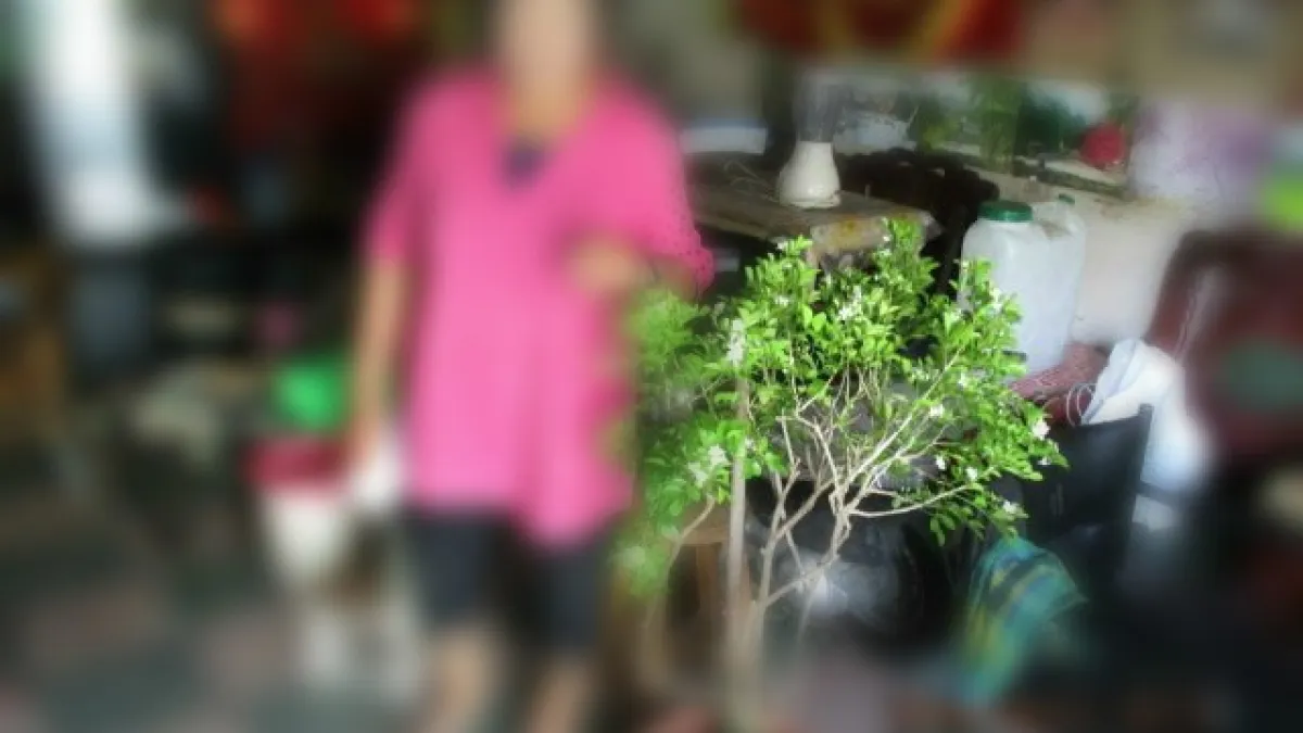 婦人行竊七里香藏住家 警方聞花香循線逮人