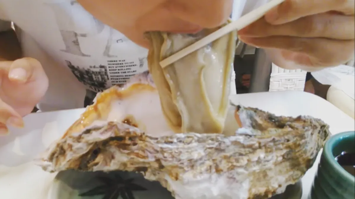 吃生蠔真的會增加精液品質嗎?(示意圖/取自youtube)