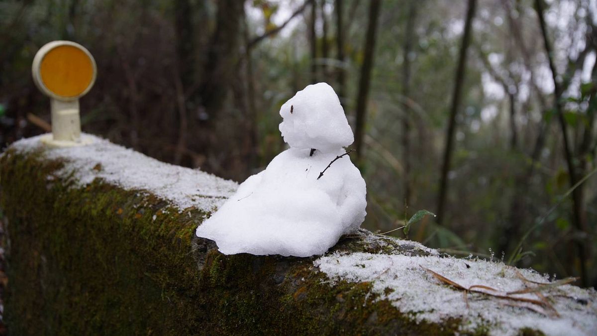 天氣最新》16日短暫回暖只是過場!冷氣團、東北季風接力 這2天「高山有望見雪」