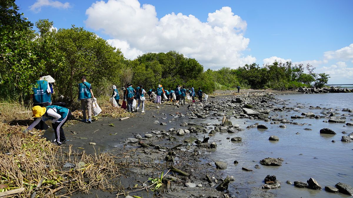 青年局號召45位青年志工齊聚林園紅樹林生態區,以淨灘行動響應「世界海洋日」。(圖/高雄市青年局提供) 青年局號召45位青年志工齊聚林園紅樹林生態區,以淨灘行動響應「世界海洋日」。(圖/高雄市青年局提供)