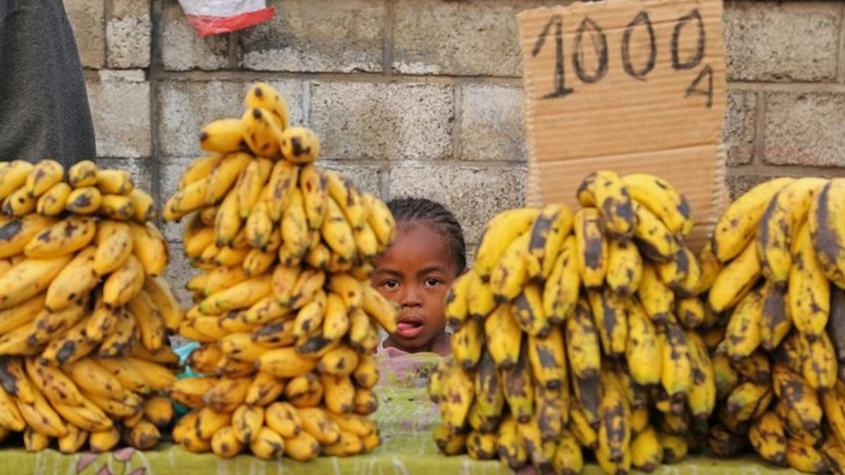 越南香蕉、百香果、鳳梨與椰子有望成為下一個出口明星。(示意圖/美聯社) 越南香蕉、百香果、鳳梨與椰子有望成為下一個出口明星。(示意圖/美聯社)